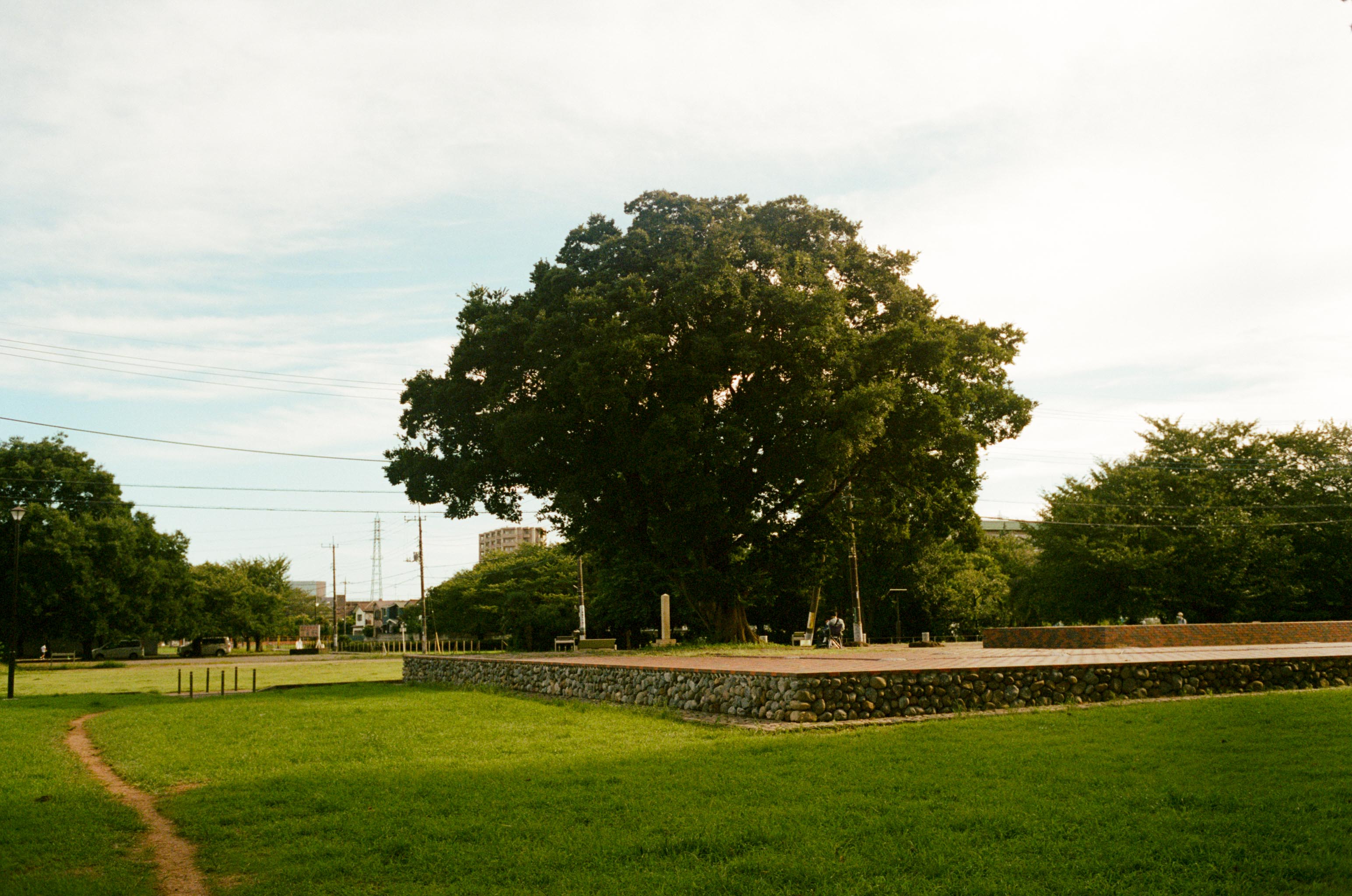 国分寺崖線を歩きながら《国分寺跡》(2021)003677990030 (1)