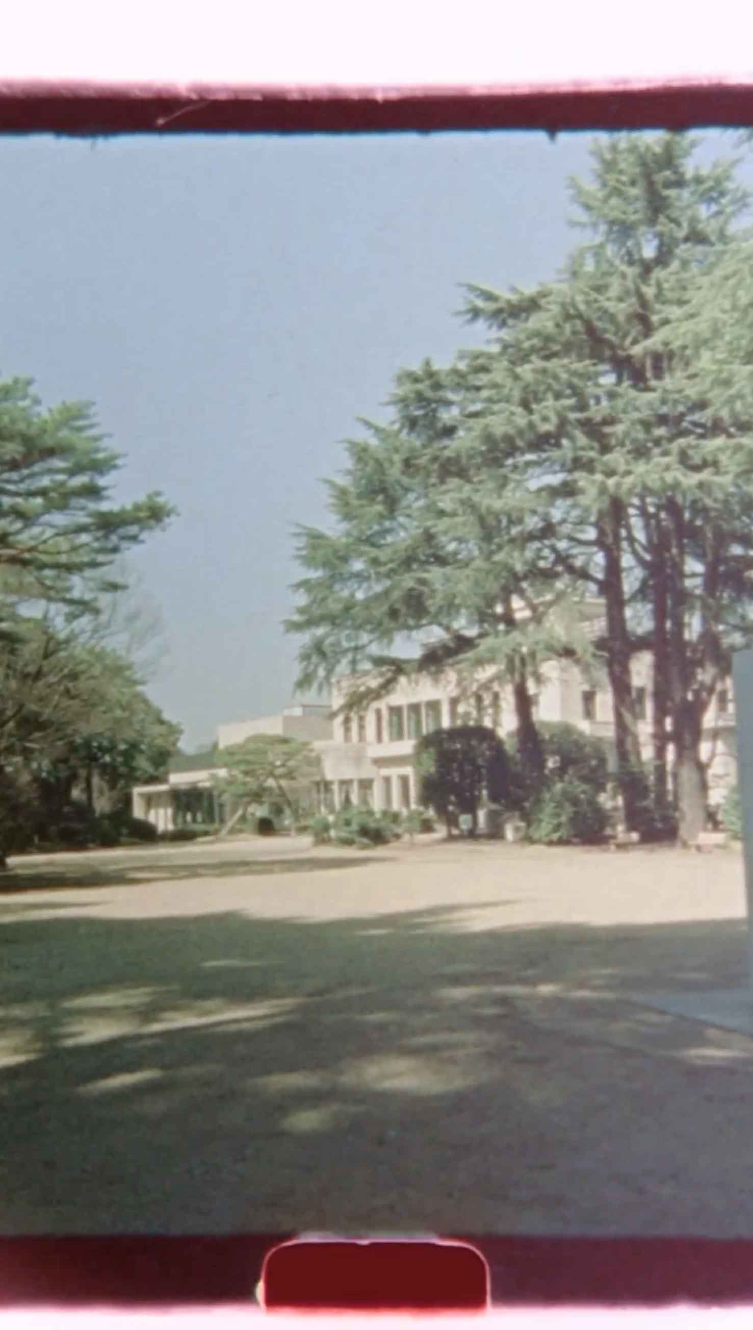 スクリーンショット 2024-03-19 7.03.42