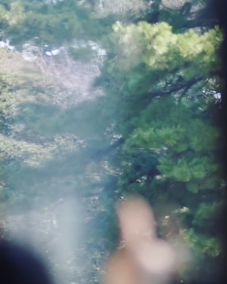 57397A9F-0AB7-49BF-8C38-A910461E0C80