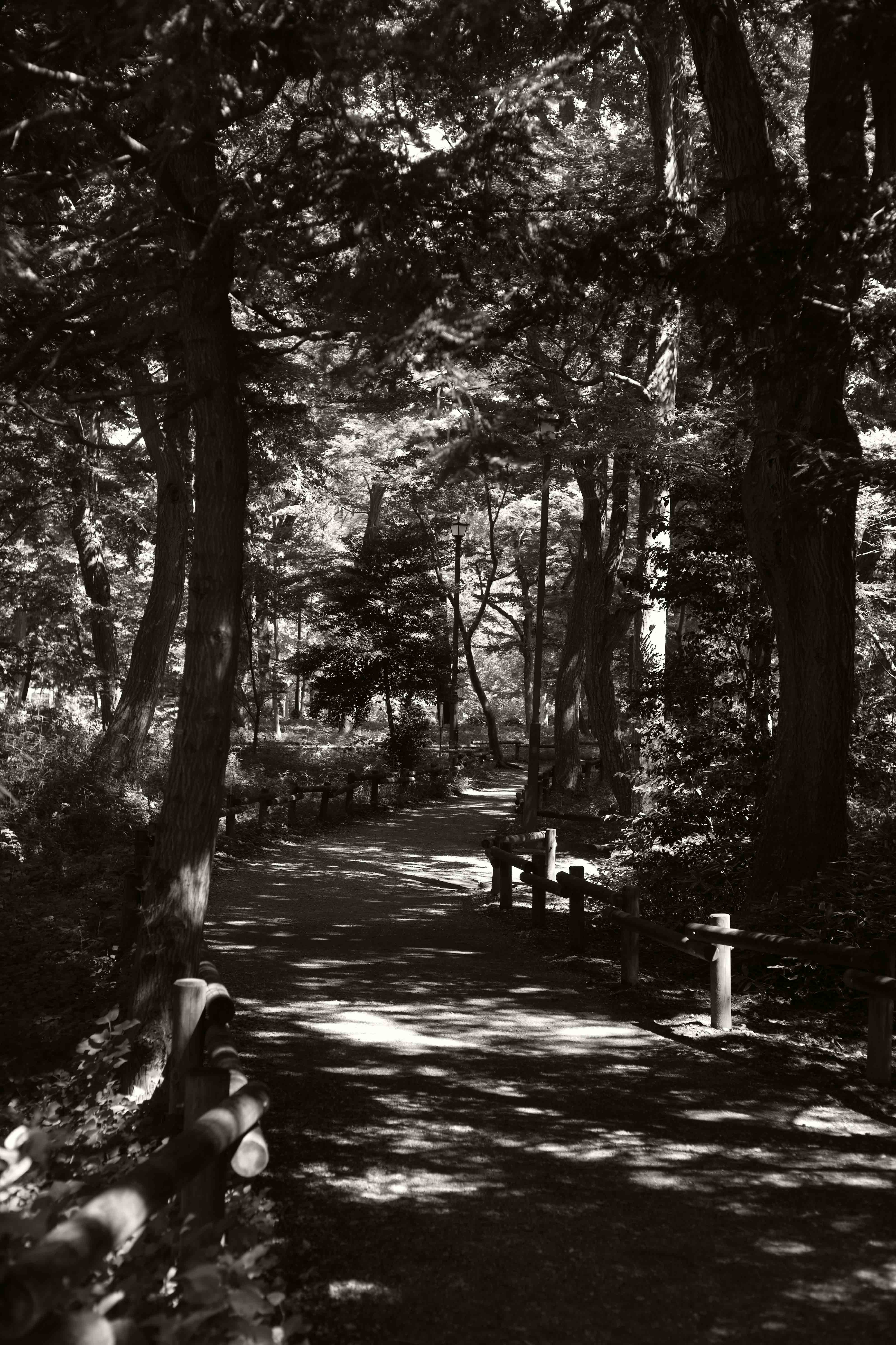 3_2021年8月／1989年8月_L1008809