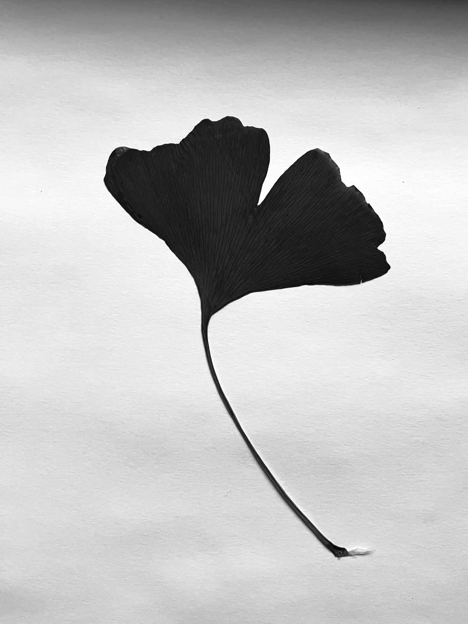 6B7C1234-D542-4465-AC1B-145DFDFC609D_1_102_o