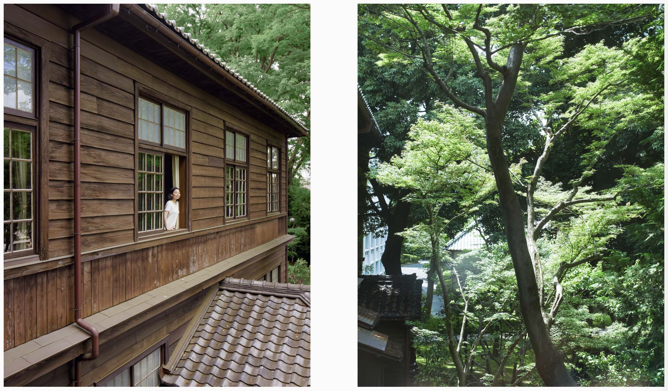 2025_Summer Greetings_Kenshu Shintsubo_