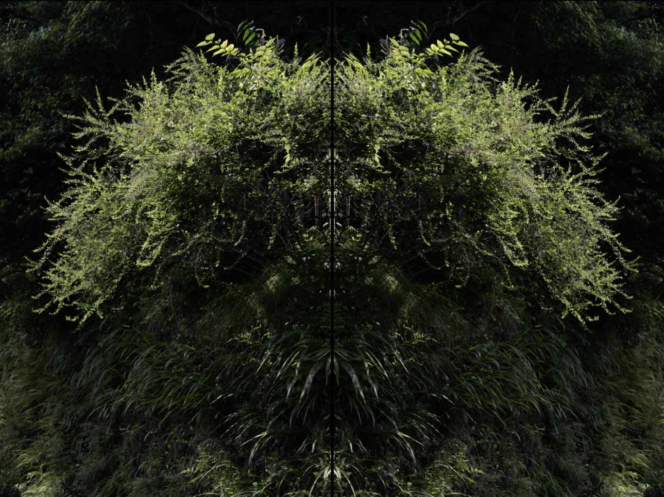 150719_スクリーンショット 2017-06-20 23.26.48 コピー コピー